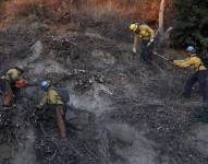Los equipos de CalFire trabajan para limpiar los escombros a lo largo de la Pacific Coast Highway cerca de Pacific Palisades y Santa Mónica en Los Ángeles, California, EE. UU., el 14 de enero de 2025.