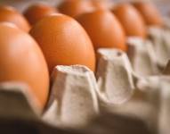 Inversión en bioseguridad por gripe aviar en Ecuador incide en el precio de los huevos