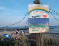 Según el Museo de Florida, el año pasado hubo 73 ataques no provocados en todo el mundo.