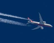 El vuelo 171 de Air India que se estrelló con 240 personas a bordo era un avión Dreamliner 787 de Boeing.