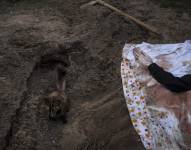 Un gato sentado sobre la tumba de Lyudmyla Kononuchenko, de 51 años, que fue enterrada por sus familiares y amigos el viernes 15 de abril de 2022, en Irpin, en las afueras de Kiev.