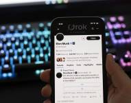 Perfil de Elon Musk en su red social X, antes llamada Twitter