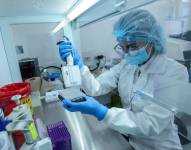 Actividades de investigación