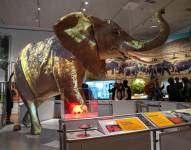 Exposición El mundo secreto de los elefantes, exhibida en el Museo Americano de Historia Natural de Nueva York (Estados Unidos).