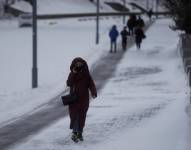 Ucrania espera también 2.000 millones de dólares del FMI.