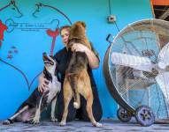 Mascotas abandonadas por migrantes deportados.