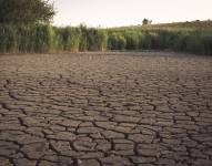 Escasez de alimentos en el mundo. Foto: Pixabay / Referencial