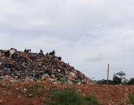 En un informe anterior mostramos que los líquidos de los desechos se descargan en el estero Indillama que conecta con 4 comunidades.