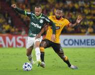BSC cayó ante Palmeiras en la Copa Libertadores.