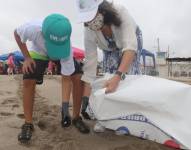 En total se recolectaron 35.261,9 kilogramos de desechos en 390,62 kilómetros recorridos. Foto: Ambiente Ecuador.