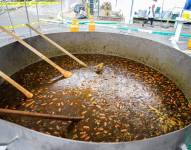 Tapao Arrecho más grande preparado en Esmeraldas.