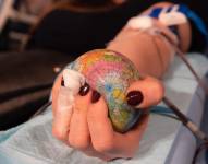 La negativa de los Testigos de Jehová a recibir transfusiones de sangre se fundamenta en su interpretación de varios pasajes bíblicos.