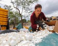 Limpian uno de los ríos más contaminados de México con cáscaras de huevo