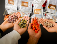 Imagen referencial de diferentes variedades de semillas en Ecuador.