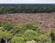 Fotografía de archivo del 28 de noviembre de 2013 de arboles talados en la selva amazónica (Brasil). EFE/ Marcelo Sayão ARCHIVO