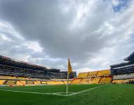 La Noche Amarilla 2024 no está cancelado.