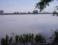 Inés Manzano da ultimátum al Municipio de Guayaquil sobre la presunta contaminación del río Daule