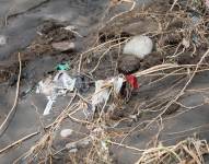 Contaminación en el río San Pedro en la ciudad de Quito.