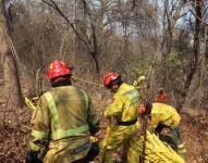 Guayaquil: incendio forestal en cerro Azul se combate con 12 unidades de los bomberos