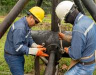 Los técnicos de Petroecuador.