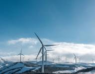 Nuevo proyecto de ley de Noboa impulsa que las empresas se autoabastezcan con energía renovable