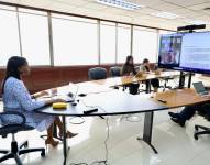 Diana Salazar en la comparecencia virtual