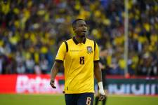 La selección de Ecuador prepara la lista de convocados.