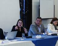 Ministra de Energía en comparecencia ante la Comisión de Fiscalización.