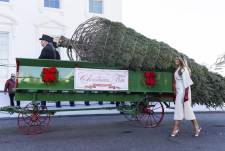 La Casa Blanca inicia su temporada navideña con la llegada del árbol oficial
