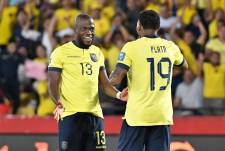 Enner Valencia y Gonzalo Plata serán convocados por Sebastián Beccacece para la selección de Ecuador.