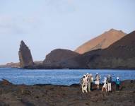 Las Galápagos están consideradas como un laboratorio natural.