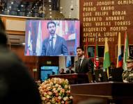 El presidente de la Asamblea, Niels Olsen, en el Pleno.