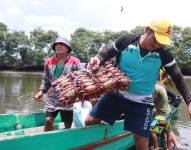 Cangrejeros después de su jornada.