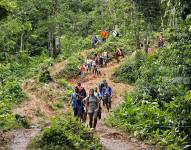Migrantes caminando en el Tapón del Darién, en Panamá.