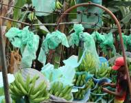 Estados Unidos incluye a 105 productos ecuatorianos en esquema de aranceles recíprocos y no tendrán tasa del 15 %