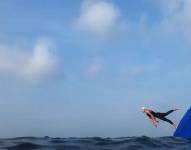 11 de las imágenes más impactantes en lo que va del año