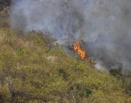 Incendio forestal forestal en el bosque protector Cerro Paraíso. Foto: Twitter