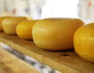 Imagen referencial de quesos Grana Padano