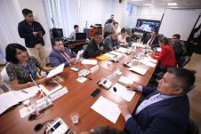 Sesión de la Comisión de Biodiversidad y Recursos Naturales.