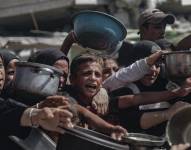 Ciudad de Gaza, de niños tratando de conseguir comida en los centros de distribución de ayuda humanitaria.