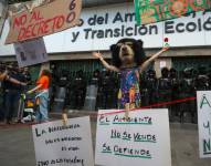 Alrededor de un centenar de personas protestaron contra los recortes del presidente Daniel Noboa.