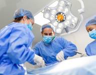 Imagen de referencia.