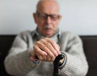 Imagen de referencia.