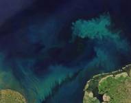 Para rastrear los cambios en el color del océano, los científicos analizaron las mediciones del color desde el satélite Aqua.