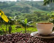 Colombia se posiciona como el tercer mayor productor de café a nivel internacional.