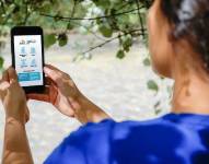 El aplicativo, desarrollado por funcionarios electorales, cuenta con la opción de georreferencia.