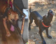 Fotos suministradas por la Fiscalía federal en la acusación contra Antonio Casillas Montero