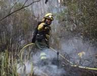 Bomberos se encuentran en la zona de protección San Juan.