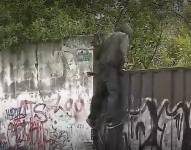 Un individuo vulnera las seguridades para ingresar al terreno abandonado en la avenida Río Coca, norte de Quito.
