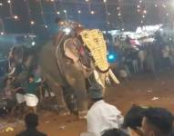 Captura de vídeo del festival en el que al menos 23 personas resultaron heridas en el sur de la India después de que uno de los elefantes que formaban parte de la celebración embistiera contra la multitud, dando lugar a escenas de caos.